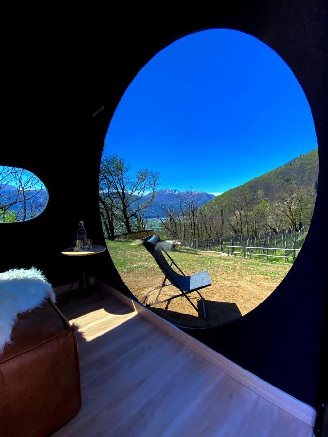 Birdbox Curzutt Hotel Monte Carasso Eksteriør billede