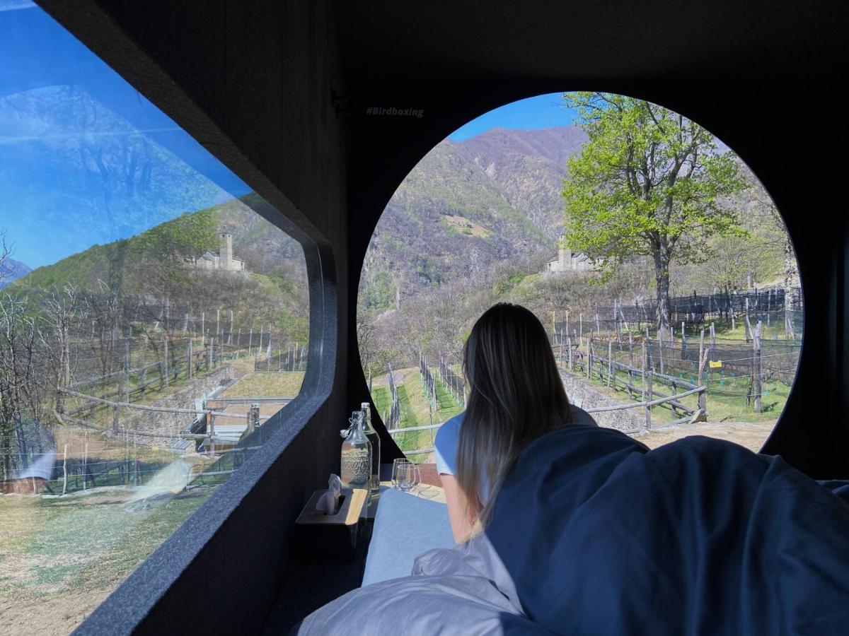 Birdbox Curzutt Hotel Monte Carasso Eksteriør billede