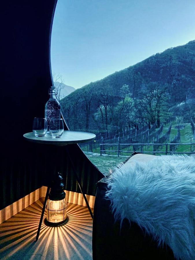 Birdbox Curzutt Hotel Monte Carasso Eksteriør billede