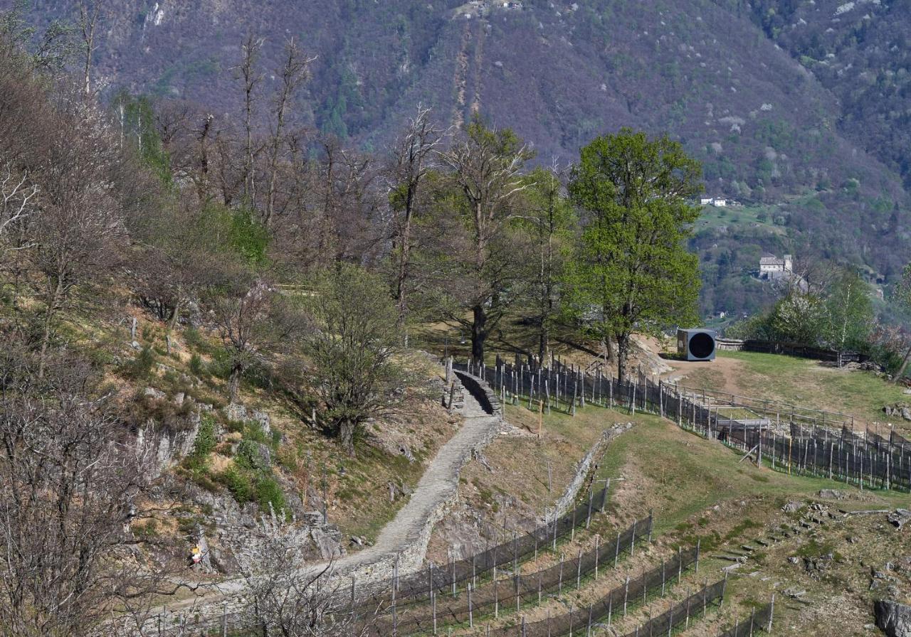 Birdbox Curzutt Hotel Monte Carasso Eksteriør billede