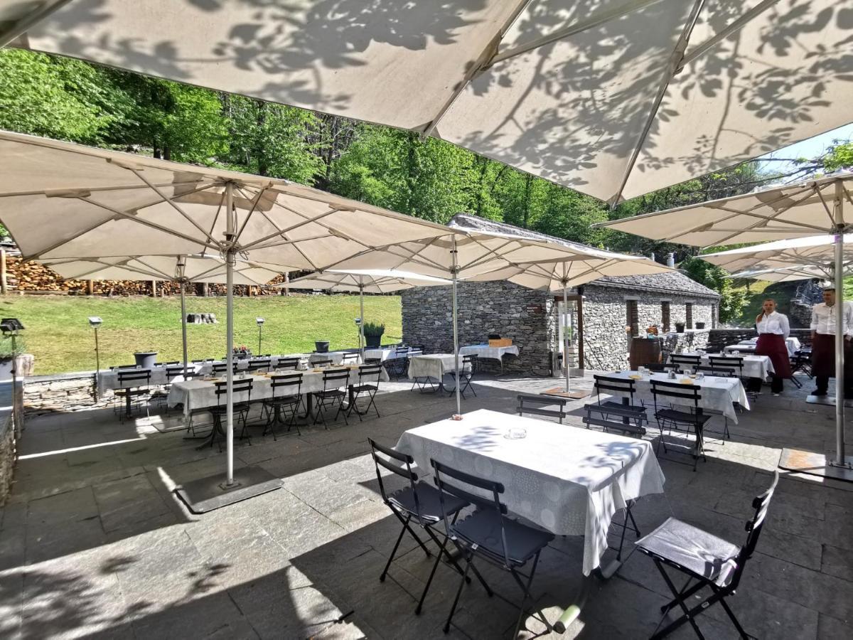 Birdbox Curzutt Hotel Monte Carasso Eksteriør billede